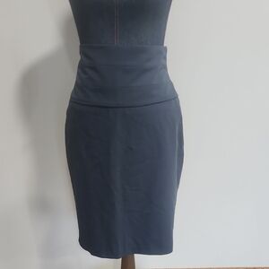 Elegant Navy Women's Skirt
